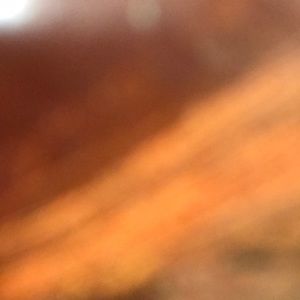 Meet your Posher, Drew